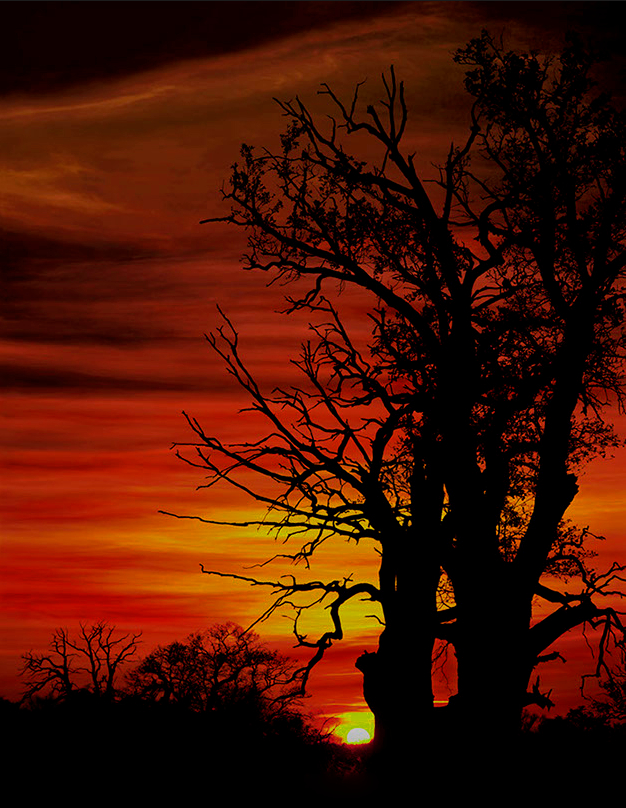 African sunset over Rogalin, Poland